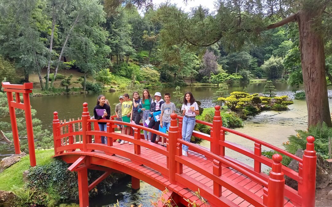 Niveau 6ème : Sortie au parc oriental de Maulévrier