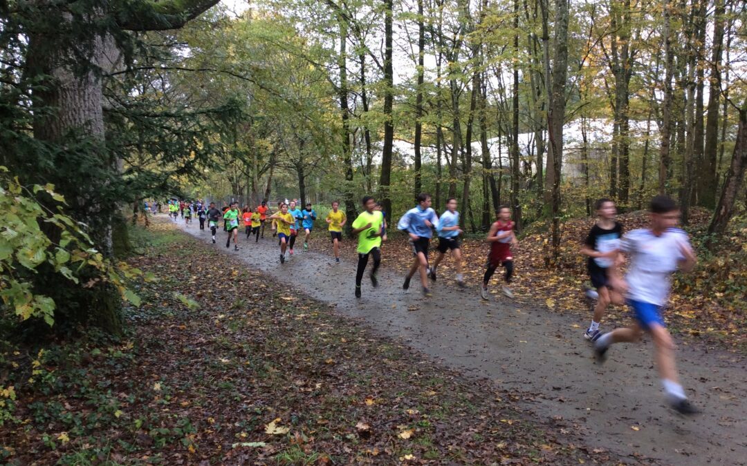 AS : Cross départemental à Angers